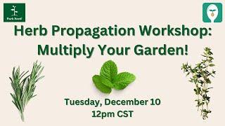 Herb Propagation Workshop: Multiply Your Garden!