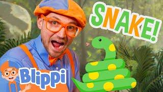 Blippi Meets a Silly Snake! Blippi Educational Videos for Kids
