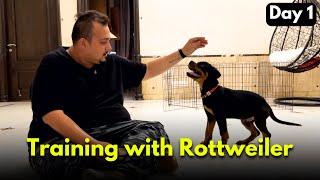 HOW to Train Rottweiler Puppy Day-1 | 30 Days Puppy Training