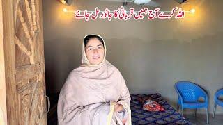 Allah Kare Qurbani Ka Janwar Mil Jai II Village Family Vlogs