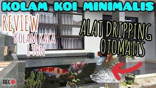 REVIEW KOLAM IKAN KOI MINIMALIS | KOLAM KACA | ALAT DRIPPING OTOMATIS