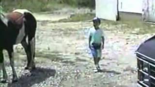 horse kicks stupid kid