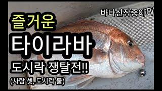 제주 타이라바 이 저수온기에 이정도면 대박? 최강맴버로 포인트 탐색하기 하지만 도시락은 2개, 사람은 셋 까딱하면 밥 굶는다... -  jeju tairubber fishing.