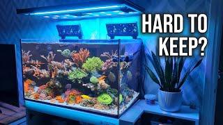 Keeping A Saltwater Aquarium Is EASY! Reef Tank Maintenance