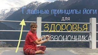 Главные принципы йоги для здоровья позвоночника | Татьяна Марина