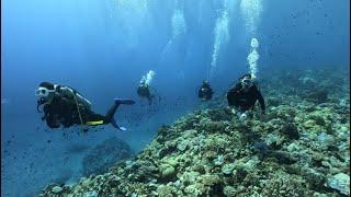 Scuba Diving in Okinawa, Japan