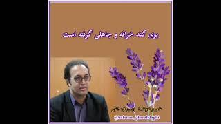 شعر کردی به گویش گروسی(بیجاری) با ترجمه فارسی/بهمن قره داغی