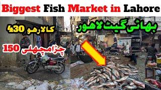 Bhati Gate Fish Market Lahore | Wholesale Fish Market in Lahore | Lahori Life