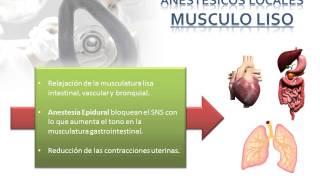 TEMA 23.  ANESTÉSICOS LOCALES