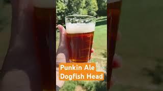 Snifter 87: Punkin Ale #growintheglass #beerme #beer #craftbeer #beerreview #pumpkin #shorts