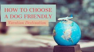  How to choose a Dog Friendly Vacation  - dog friendly travel - dog friendly vacations