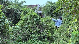 Female student terrified upon moving into an overgrown abandoned house