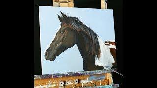 How To Paint A Horse in Acrylic - Painting Lesson Preview with Tim Gagnon