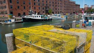 Canada lobster exports to China skyrocket since tariffs placed on US imports