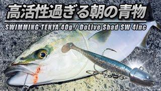 【青物釣り】朝マズメの堤防からワームを投げたら大きな魚に襲われた【堤防釣り】