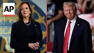 Kamala Harris and Donald Trump battle for Michigan