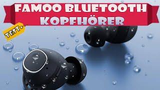 FAMOO Bluetooth Kopfhörer in Ear Test Review 42 Stunden Spielzeit mit Ladeetui LED-Anzeige Comfort