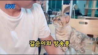 대구리는 병원 잘 다녀 왔습니다