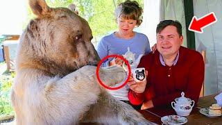 The Giant Bear Lived With The Couple For 23 Years, But At A Family Dinner He Did The Unexpected！