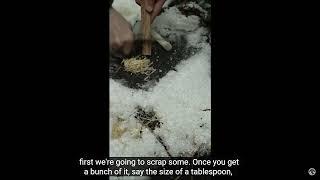 how to start a fire in wet condition by halfinsaneoutdoorguy