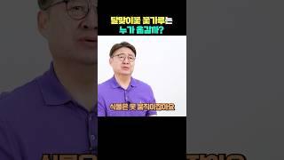 달맞이꽃 꽃가루는 누가 옮길까?