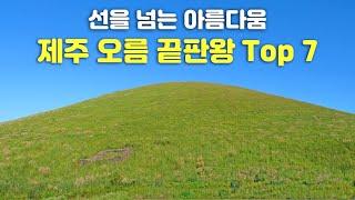 [제주도 여행 · 오름 끝판왕 7곳 총정리] 제주도 어디 갈까? 고민 될 때 오름부터 오르세요. 자연이 빚은 최고 걸작품, 가장 제주 다운 풍경 인기 절정 제주 오름을 소개합니다