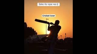 Cricket lover
