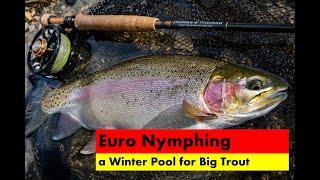 Euro-Nymphing a Winter Pool for Big Trout