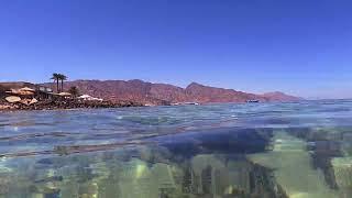 GH010836 Swim with me on #swimTV in the Crystal Clear waters of the Red Sea. Eel Garden, Dahab