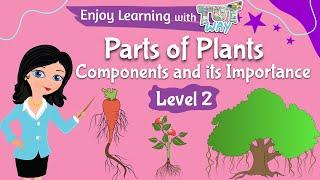 Parts of Plants & Functions | Science | TutWay