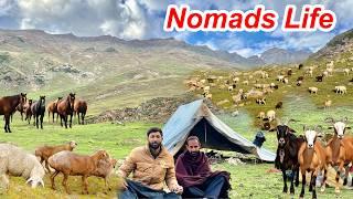 First Day With Bakrwals Nomads in Heavy Rain And snowfall  | Naran Kaghan