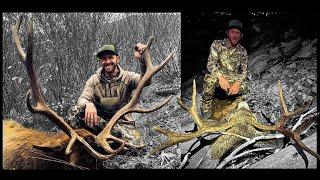 BACKCOUNTRY ELK AND MULE DEER HUNT | "FROM BUGGIES TO BUGLES" | S8E11 | Limitless Outdoors