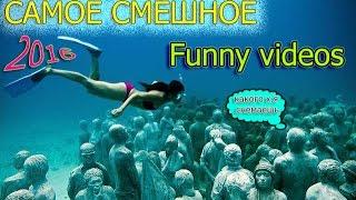 Вертолет приводнился / Лучшие подборки 2016 / Funny videos 2016