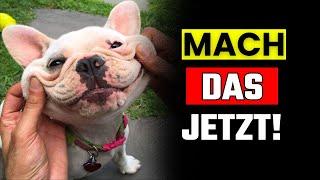 Wenn du jeden Tag die Wangen deines Hundes reibst, WIRD DAS passieren