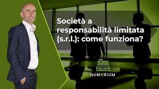 Società a responsabilità limitata (s.r.l.): come funziona?