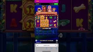 Dog House $2 bet Epic 333x Bonus #pulszcasino #doghouse