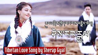 New Tibetan Song 2023 ཆུང་འདྲིས་ཁྱེད་རང་ངེས་ངེས་བརྗེད་མེད་རེད། Sherap Gyal