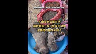 东南亚老挝菜市场 看看这里面有多少一级保护动物#老挝 #东南亚风情 #东南亚