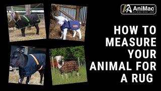 AniMac | How to Measure your Animal for a Coat | Calf | Sheep | Horse | Dog | Goat