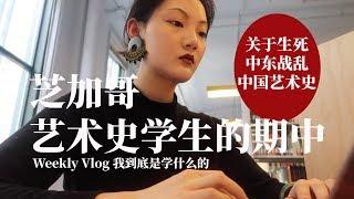 VLOG美国艺术史学生的期中|时间管理|缓解压力为何休学