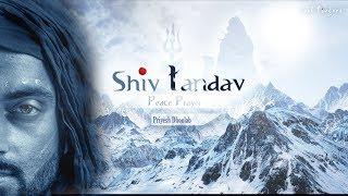 Shiv Tandav (Peace Prayer)