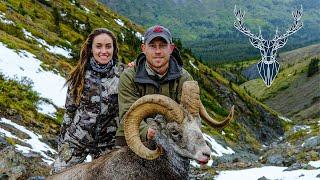 Stone Sheep and Wolf Hunt, British Columbia