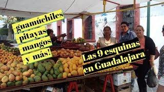 GUAMÚCHILES - PITAYAS - MANGOS - LAS 9 ESQUINAS EN GUADALAJARA - Lorena Lara