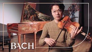 Sato on Violin Concerto in D minor BWV 1052R | Netherlands Bach Society