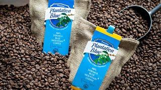 How Jamaican Blue Mountain Coffee is Processed by Plantation Blue