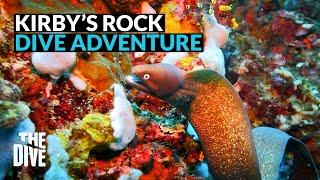 Dive Adventure at Kirby's Rock - Anilao, Batangas #TheDivePH