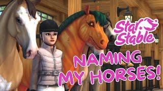 Rapidly Naming My Forgotten Horses