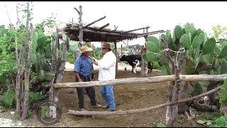 Reportajes de Alvarado - Visita a Don Maximiliano Sánchez, Galeana, N.L.