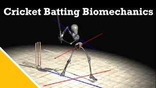 Cricket Batting Biomechanics | Dr Stuart McErlain-Naylor