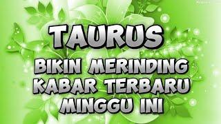 Ramalan Zodiak Taurus Hari Ini‼️Bikin Merinding Kabar Terbaru Minggu Ini